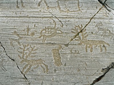 Forhistorie, sivilisasjon av Camunni, bergkunst: gravstein av representasjon av hjort. Periode mellom yngre steinalder og bronsealder. Stein. 1. Capo di Ponte, Naquane helleristninger nasjonalpark, Valcamonica, Val Camonica, Italia av Prehistoric Prehistoric