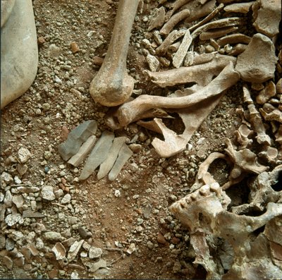 Forhistorie: dobbel gravferd av voksne og barn. Detaljvisning av begravelsesbuksen fra Candid Arene-hulen (Finale Liguria), Liguria. Mesolitikum, 7000-6000 f.Kr. Gener, museo di archeologia ligure av Prehistoric Prehistoric