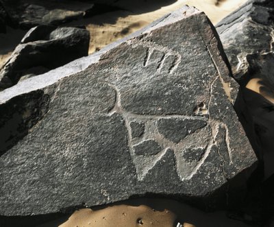 Forhistorie, bergkunst: en seriøs stein av representasjonen av et storfe. Tazina-stil. Steinalder 5000-2000 f.Kr. Taghit, Haut plateau du Hoggar (Ahaggar), Algerie av Prehistoric Prehistoric