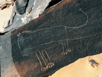 Forhistorie, bergkunst: gravstein av representasjonen av en løve. Tazina-stil. Steinalder 5000-2000 f.Kr. Taghit, Haut plateau du Hoggar (Ahaggar), Algerie av Prehistoric Prehistoric