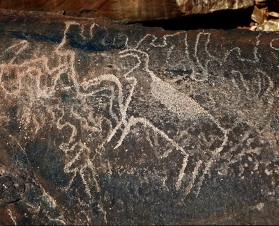 Forhistorie, bergkunst: gravstein av representasjonen av storfe. Tazina-stil. Steinalder 5000-2000 f.Kr. Taghit, Haut plateau du Hoggar (Ahaggar), Algerie av Prehistoric Prehistoric