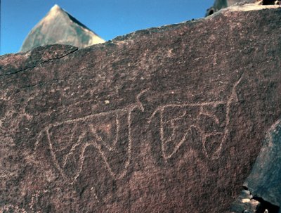 Forhistorie, bergkunst: gravstein av representasjonen av storfe. Tazina-stil. Steinalder 5000-2000 f.Kr. Taghit, Haut plateau du Hoggar (Ahaggar), Algerie av Prehistoric Prehistoric