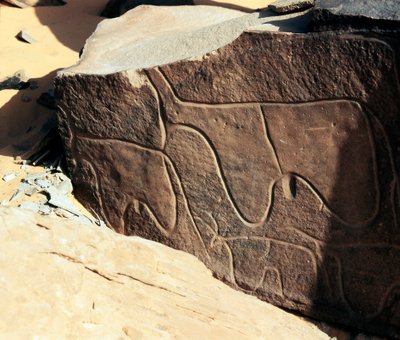 Forhistorie, bergkunst: gravstein av representasjonen av storfe. Tazina-stil. Steinalder 5000-2000 f.Kr. Taghit, Haut plateau du Hoggar (Ahaggar), Algerie av Prehistoric Prehistoric