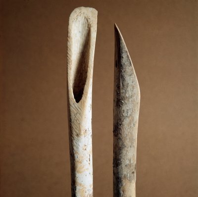 Forhistorie: verktøy for å fjerne bark fra skinnbenet til geit og sau fra Necropole of Arene Candide (Finale Liguria), Liguria. Mellomneolitikum, steinalder. Gener, museo di archeologia ligure av Prehistoric Prehistoric