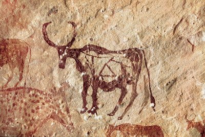 Bergmaleri: representasjon av en hjortevilt. Cave of Tadrart Acacus Libya av Prehistoric Prehistoric