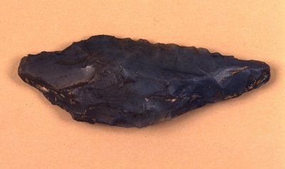 Steinpilspiss oppdaget i Isolino di Varese (Italia). av Prehistoric Prehistoric