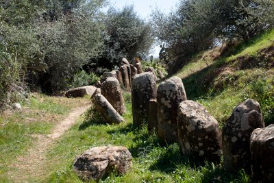 Det arkeologiske stedet til cromlech M Zora, i Sidi El Yamani (Marokko). Neolittisk gravhaug (2000 f.Kr.), omgitt av 167 monolitter. av Prehistoric Prehistoric