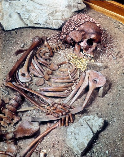 Graven til øvre paleolitikum. Skjelett av den etniske gruppen Combe Capelle funnet i hulen til Arene Candide kjent som den "unge prinsen", i Liguria. 16610 år f.Kr. av Prehistoric Prehistoric