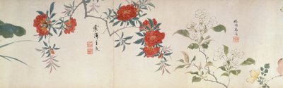 Blomster, Handscroll (blekk og farge på papir) av Qing Dynasty Chinese School