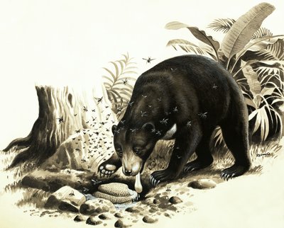  av R.B. Davis
