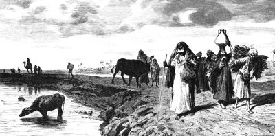 En Chaussee i deltaet, på tidspunktet for flommen, 1880 av R. Brandamour