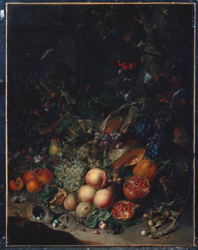 Fersken, druer, granatepler, meloner, en maiskolbe, aprikoser, plommer, pærer, eikenøtter, 1718 av Rachel Ruysch
