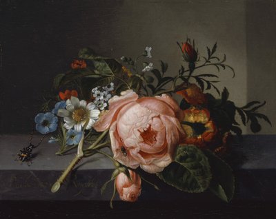 Still Life with Rose Branch, Beetle and Bee, 1741 (olje på lerret montert på eik) av Rachel Ruysch
