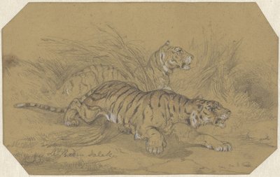 To tigre som går gjennom gresset av Raden Sarief Bastaman Saleh