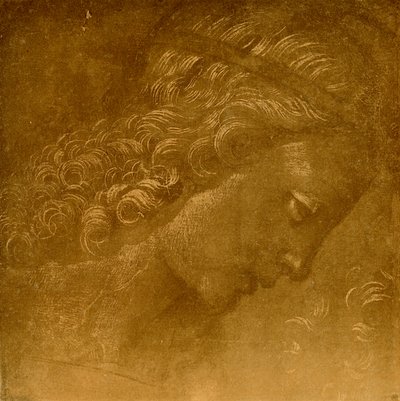 Studer på et englehode av Raffaellino del Garbo