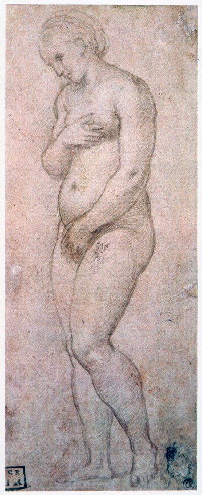 Studie av Venus, c1500-1520 av Raffaello Sanzio Raphael