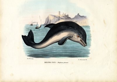 Havnenise, 1863-79 av Raimundo Petraroja
