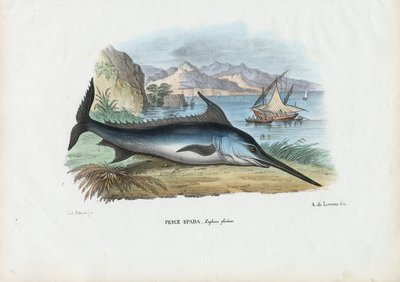Sverdfisk, 1863-79 av Raimundo Petraroja