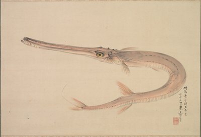 Nålefisk levde, 1870. av Raisho Nakajima
