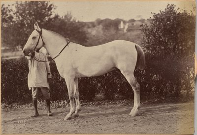  av Raja Deen Dayal
