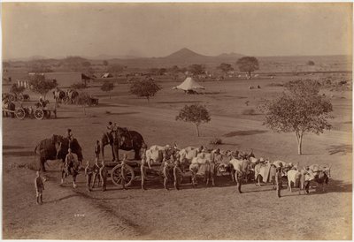  av Raja Deen Dayal