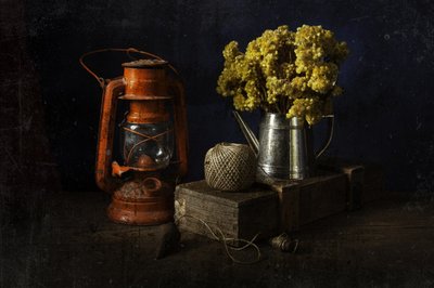  av Ramiz Sahin
