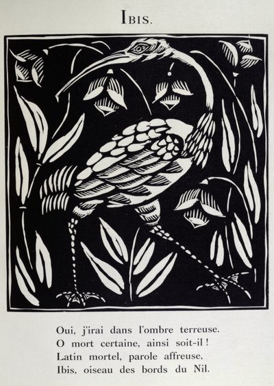 Ibisen, illustrasjon fra «Bestiarium» eller «Orfeus#39; prosesjon» av Guillaume Apollinaire (1880–1918) 1911 (tresnitt) av Raoul Dufy