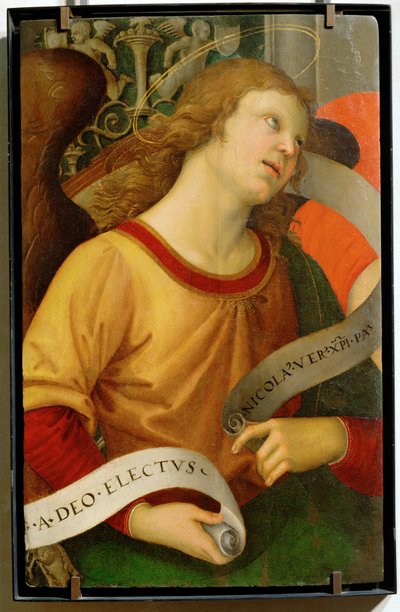 Engel von Raphael (1483-1520)