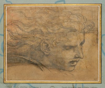 Hodet til en ung mann, tre fjerdedeler mot høyre … av Raphael (1483-1520)