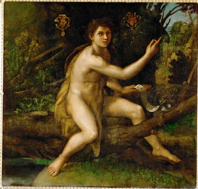 Johannes Døperen i ørkenen, viser treet som … av Raphael (1483-1520)