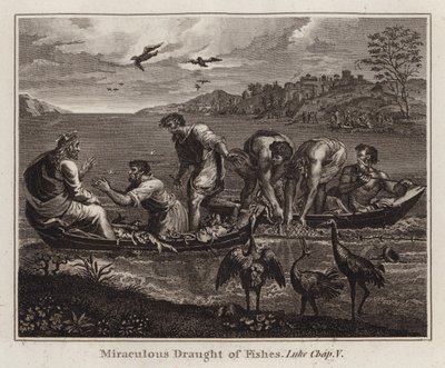 Raphael tegneserie: Miraculous Draft of Fishes, Luke, Kap V (gravering) av after Raphael