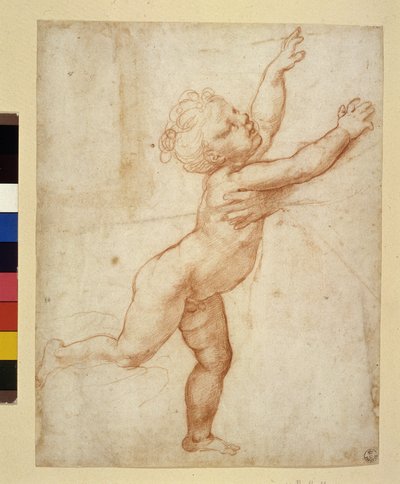 Barnestudie (tegning) av Raphael
