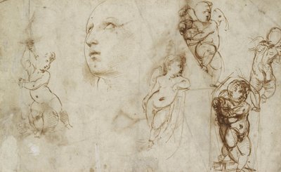 Ulike studier, hovedsakelig for Borghese-Beckford St Catherine (penn og brunt blekk på off-white papir) av Raphael