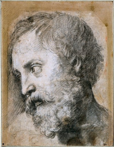 Leder for An Apostle Study for Transfiguration, 1519-1520 av Raffaello Sanzio Raphael