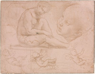 Studier av en sittende kvinne, barnehode og tre studier av en baby av Raphael