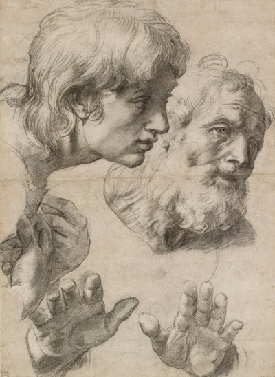 Studier av hodene til to apostler og deres hender, 1500-tallet av Raphael
