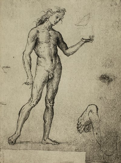 Mannlig nakenstudie; tegning av Raphael. Gallerie dellAccademia, Venezia av Raffaello Sanzio Raphael
