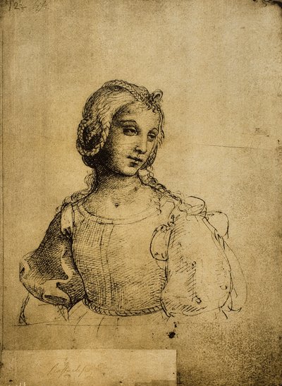 Studie av en kvinne; tegning av Raphael. Gallerie dellAccademia, Venezia av Raffaello Sanzio Raphael