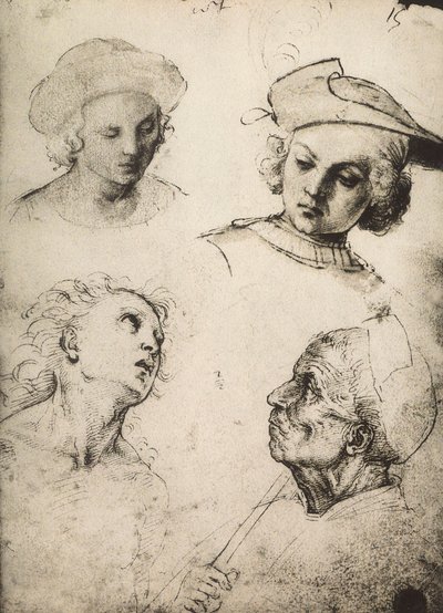 Studie av fire mannlige ansikter; tegning av Raphael. Gallerie dellAccademia, Venezia av Raffaello Sanzio Raphael