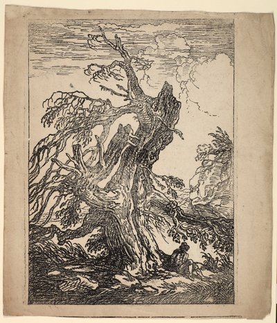 Studie av et tre av Raphael Lamar West