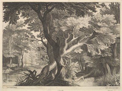 Skogkledd landskap. av Raphael Sadeler