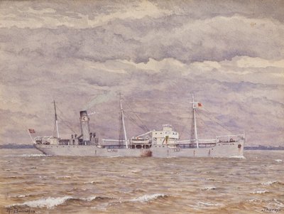 Det norske frakteskipet Thoroy ved Gironde-elvemunningen av Raymond Bonnefon