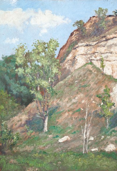 Trær foran en liten klippe av Raymond Bonnefon