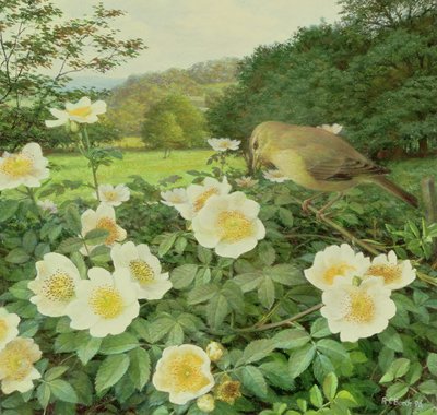  av Raymond Booth