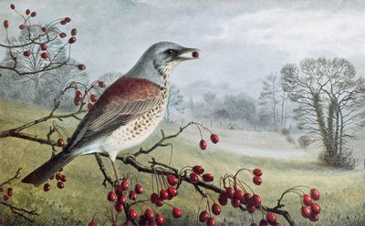 av Raymond Booth