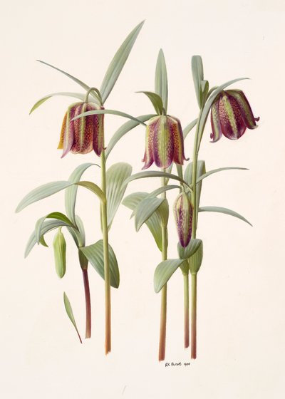  av Raymond Booth