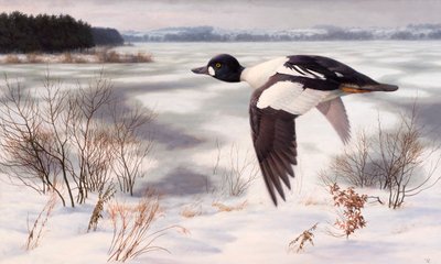  av Raymond Booth