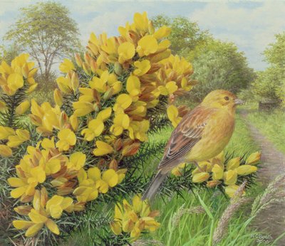  av Raymond Booth