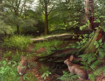  av Raymond Booth