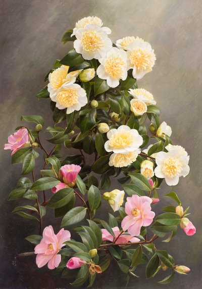  av Raymond Booth